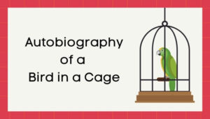 पिंजड़े में बंद पंछी की आत्मकथा हिंदी निबंध - Autobiography of Bird in Cage Essay in Hindi