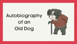 एक बूढ़े कुत्ते की आत्मकथा हिंदी निबंध - Autobiography of Old Dog Essay in Hindi