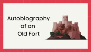 एक जीर्ण किले की आत्मकथा हिंदी निबंध - Autobiography of Old Fort Essay in Hindi