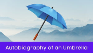 एक छाते की आत्मकथा हिंदी निबंध - Autobiography of Umbrella Essay in Hindi